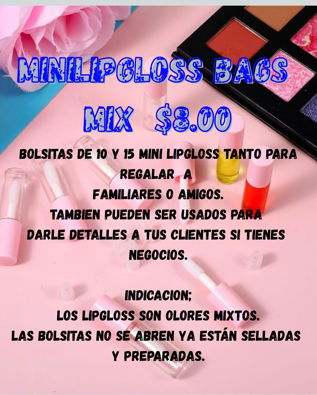 Mini lipgloss bags mix